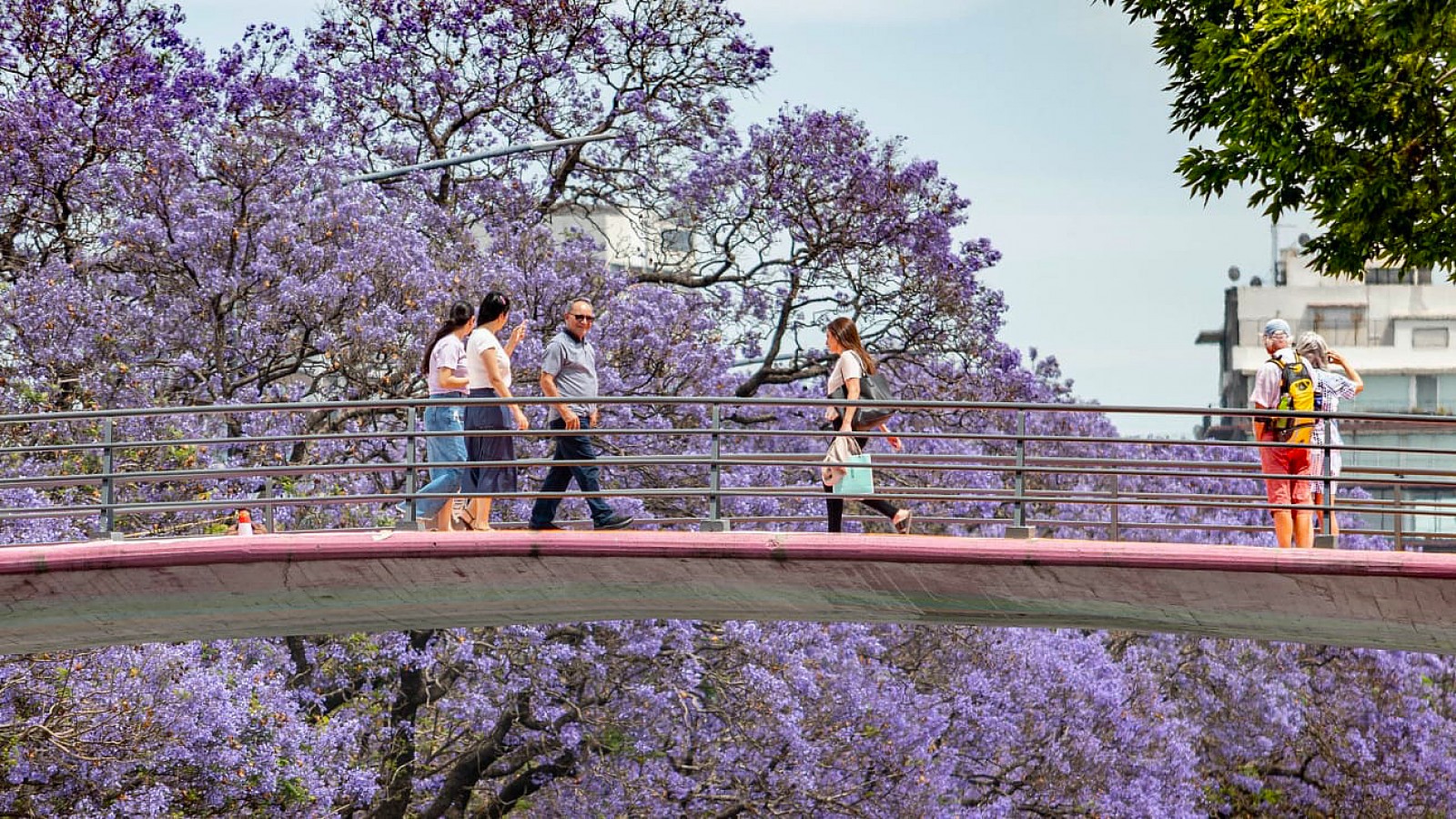 Primavera en Buenos Aires: los mejores paseos para disfrutar al aire libre